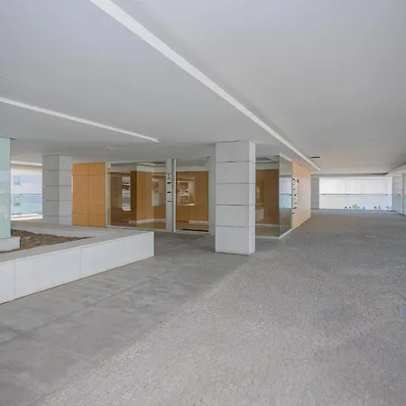 Appartement Balcony Dragao View With Parking By Liiiving
